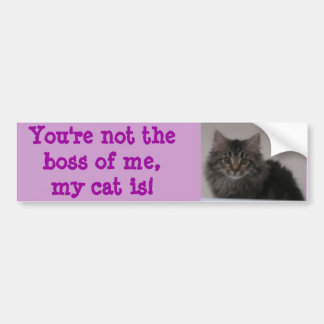 You're not the boss of me, my cat is! bumper sticker