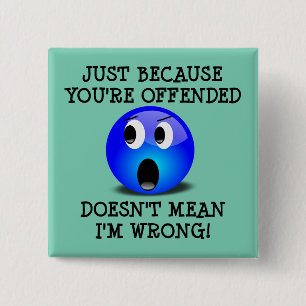 You're Offended But I'm Not Wrong Funny Button Pin