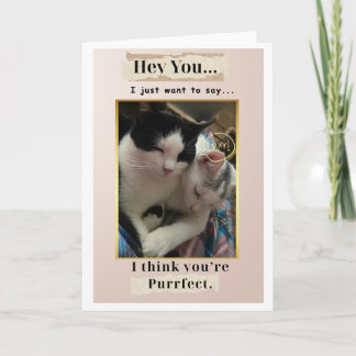 You're Purr fect! Card