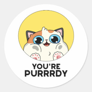 You're Purrrdy Funny Cat Pun  Classic Round Sticker