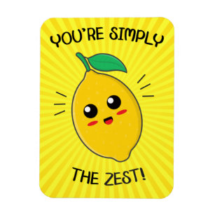 You're Simply The Zest Food Pun  Magnet