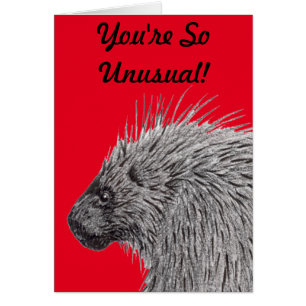 You're So Unusual Porcupine