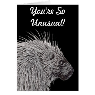 You're So Unusual Porcupine