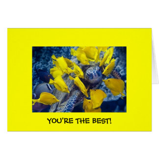 You're the Best!