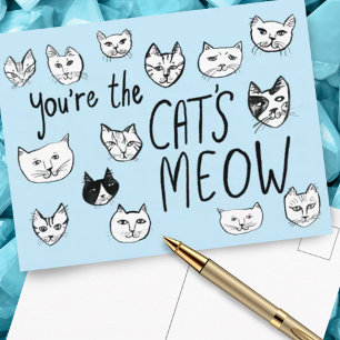 YOU'RE THE CAT'S MEOW Cute Kittens Postcard