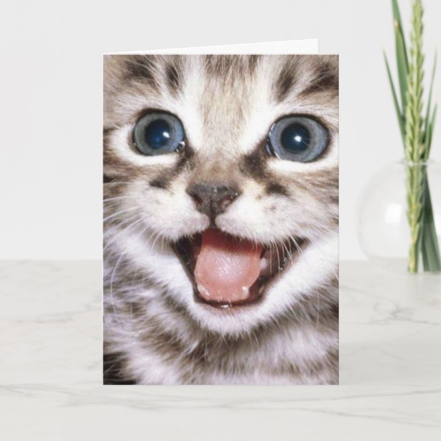 You're The Cats Meow! Funny Cat Card (Front)