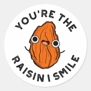 You're The Raisin I Smile Funny Food Pun Classic Round Sticker