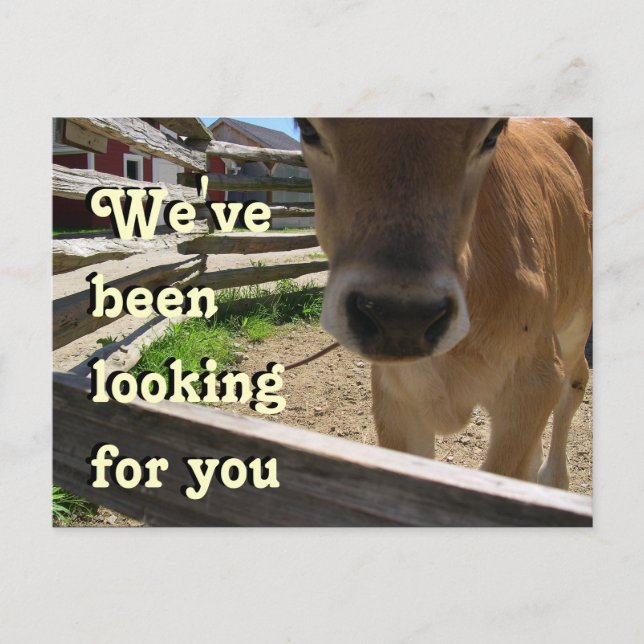 Youth Group Invitation (Front)