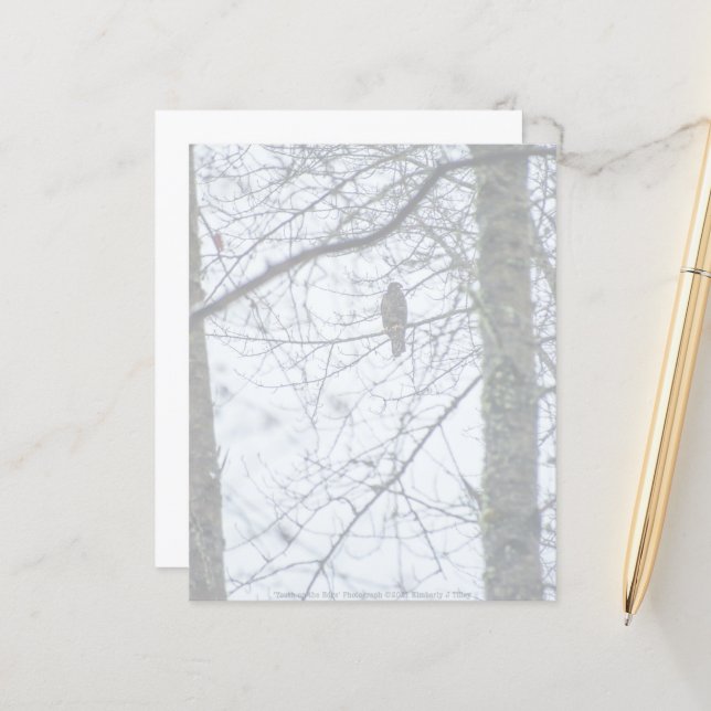 Youth on the Edge (Front/Back In Situ)