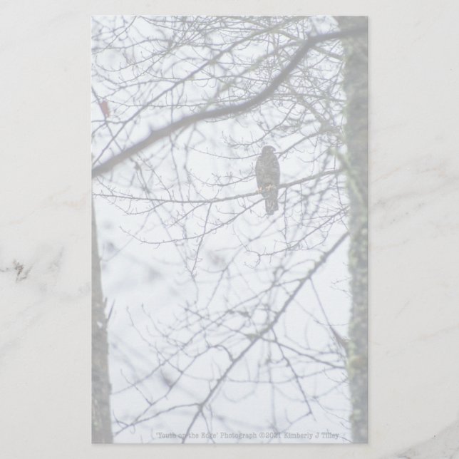 Youth on the Edge (Front)