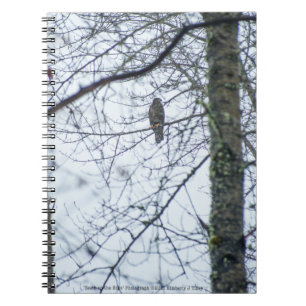 Youth on the Edge Notebook