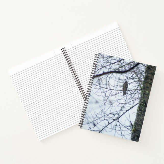 Youth on the Edge Notebook (Inside)