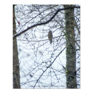 Youth on the Edge Photo Print