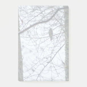 Youth on the Edge Post-it Notes