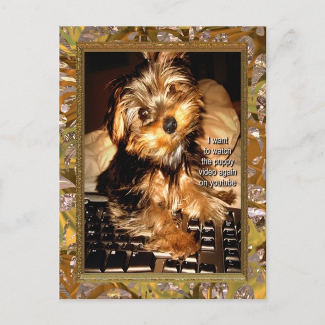 YouTube Yorkie Postcard (Front)