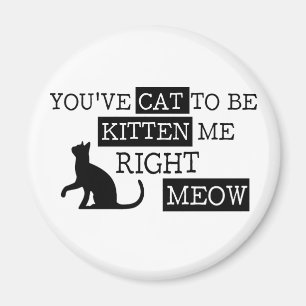 You've cat to be kitten meow funny magnet