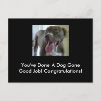 You've Done A Dog Gone Good Job!
