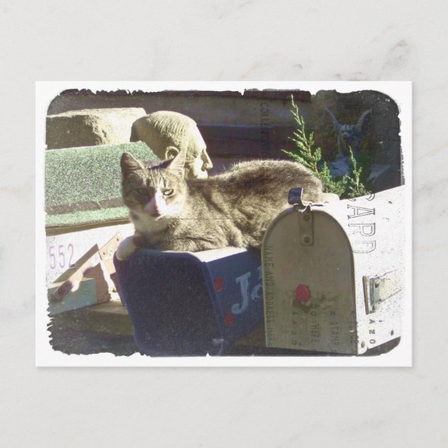 You've Got Mail Postcard (Front)