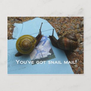 You've got snail mail postcard