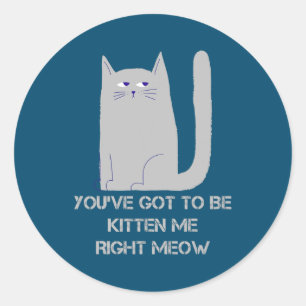 You've got to be kitten me Awesome Cat Funny Classic Round Sticker