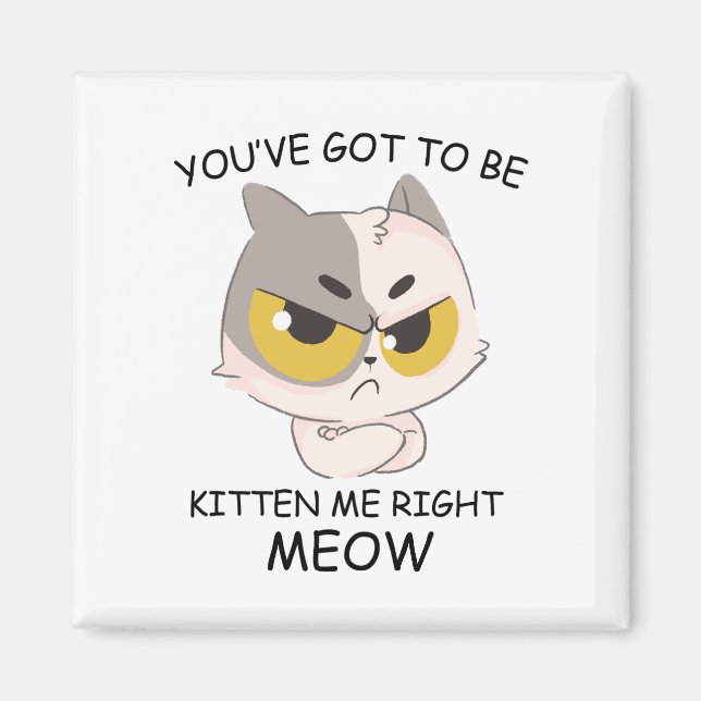 You've Got To Be Kitten Me Right Meow  Magnet (Front)