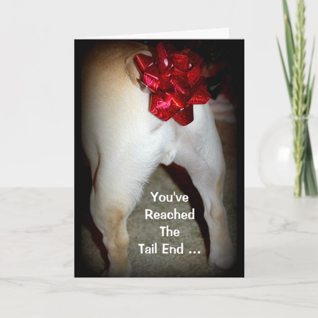 You've Reached The Tail End Of Another Year! Card (Front)