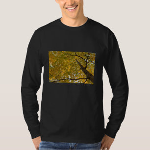 YouYou Fall Colors Long Sleeve T-Shirt