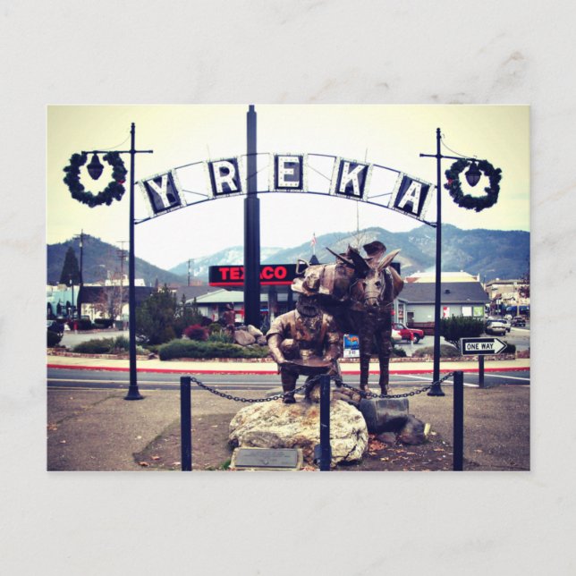 Yreka Miner Statue Postcard (Front)