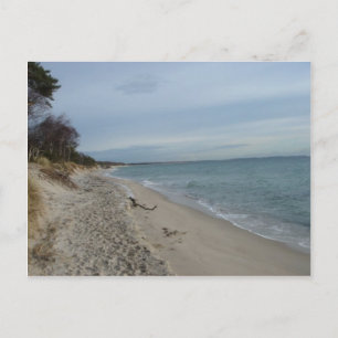 Ystad Sweden Postcard