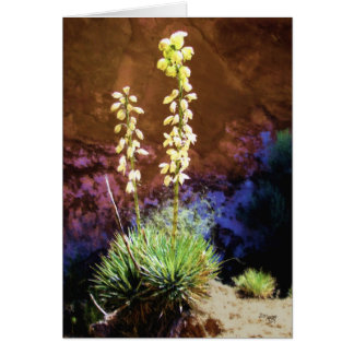 Yucca Flowers in Capitol Reef