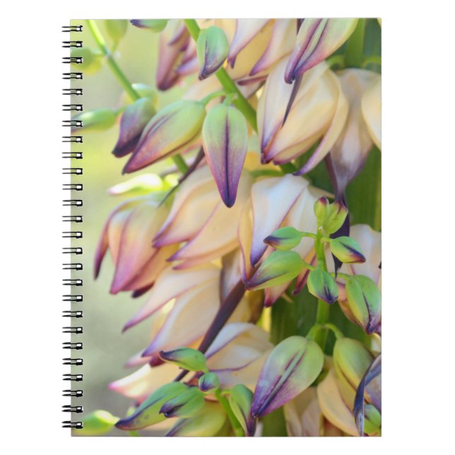 yucca flowers notebook (Front)