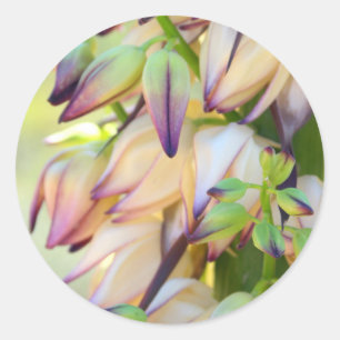 yucca flowers sticker