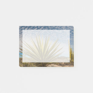 Yucca In The Desert, Mexico Post-it Notes