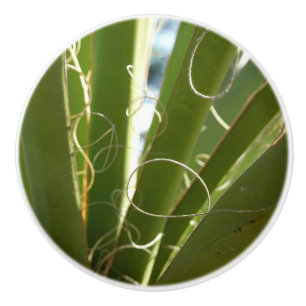 Yucca Leaves Green Nature Photography Ceramic Knob
