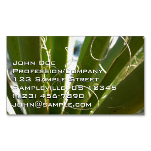 Yucca Leaves Green Nature Photography Magnetic Business Card