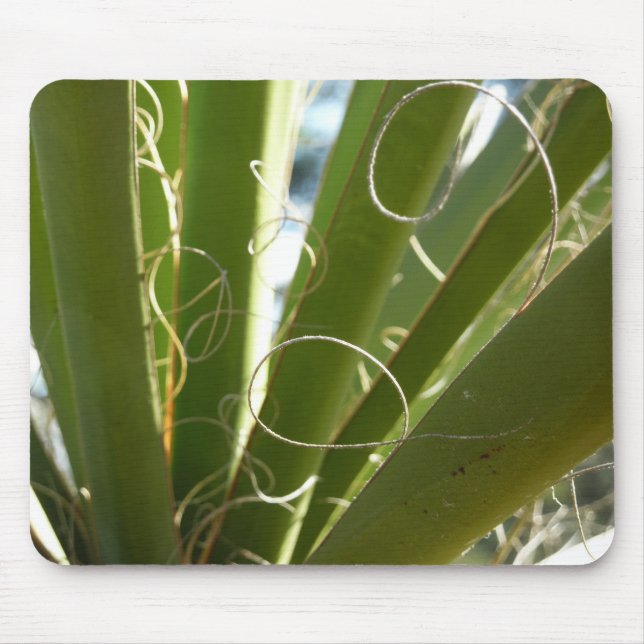 Yucca Leaves Green Nature Photography Mouse Pad (Front)