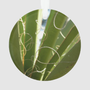Yucca Leaves Green Nature Photography Ornament