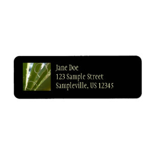 Yucca Leaves Green Nature Photography Return Address Label