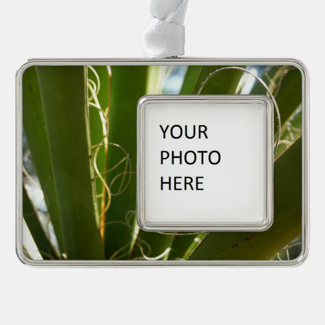 Yucca Leaves Green Nature Photography Silver Plated Framed Ornament (Front)