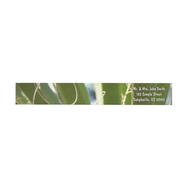 Yucca Leaves Green Nature Photography Wrap Around Label (Individual)