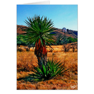 Yucca Meets Windmill