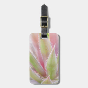 Yucca plant close-up luggage tag