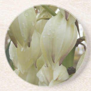 Yucca Plant Coaster