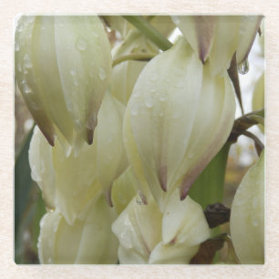 Yucca Plant Glass Coaster