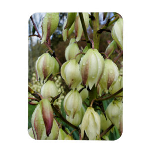 Yucca Plant Magnet