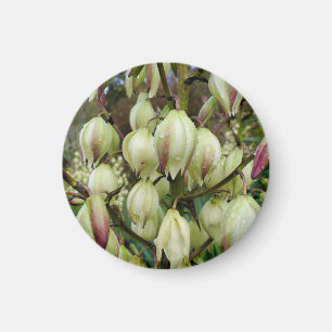 Yucca Plant Magnet