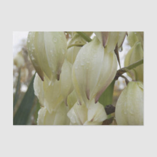 Yucca Plant  Tissue Paper