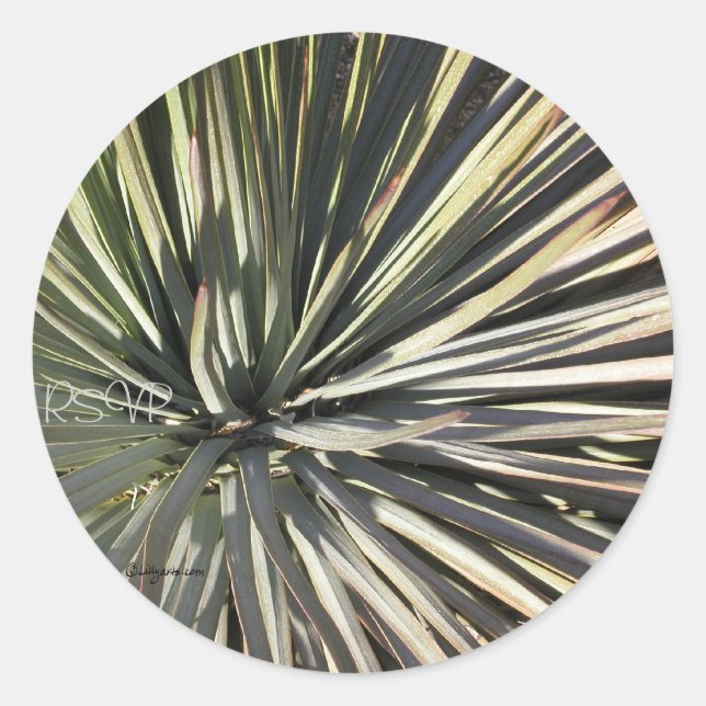 Yucca Radial RSVP Wedding Seals Sticker (Front)