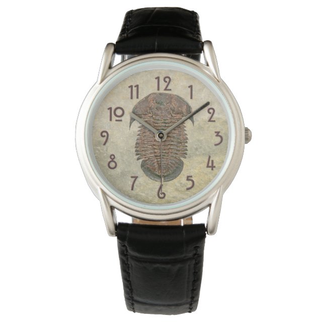 Yuepingia Fossil Trilobite Watch (Front)