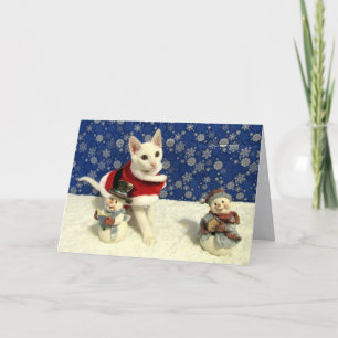 Yuki's Christmas - Cat Holiday Greeting Card